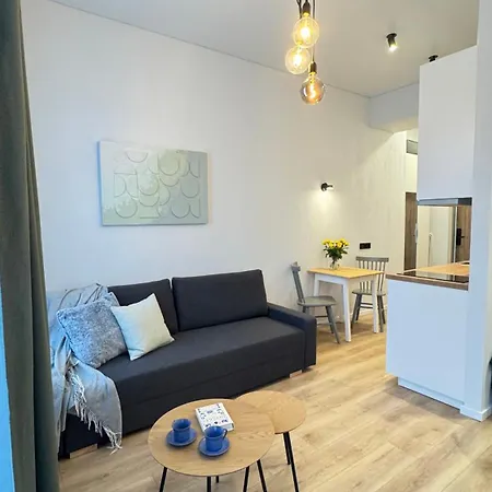 Cosy Sopenas * Вильнюс