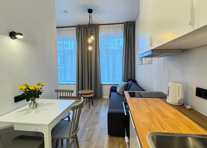 Cosy Sopenas Βίλνιους